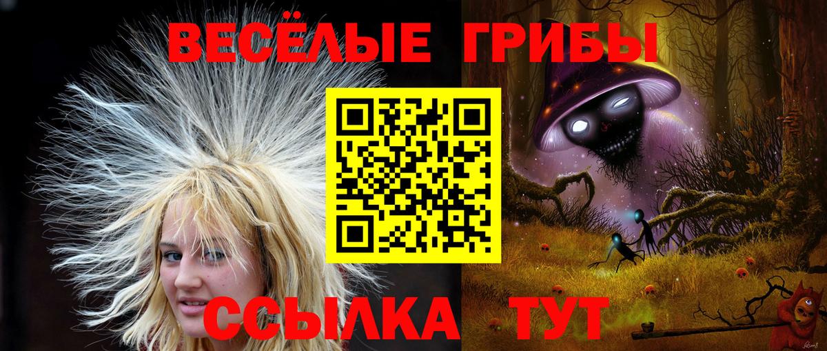 Псилоцибиновые грибы Magic Shrooms  Вход с VPN  Конаково 