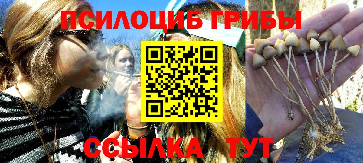 Галлюциногенные грибы ЛСД Конаково